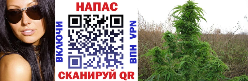 Магазин наркотиков Новоалександровск Cocaine АМФ кракен как зайти Конопля ГАШ Меф мяу мяу А ПВП
